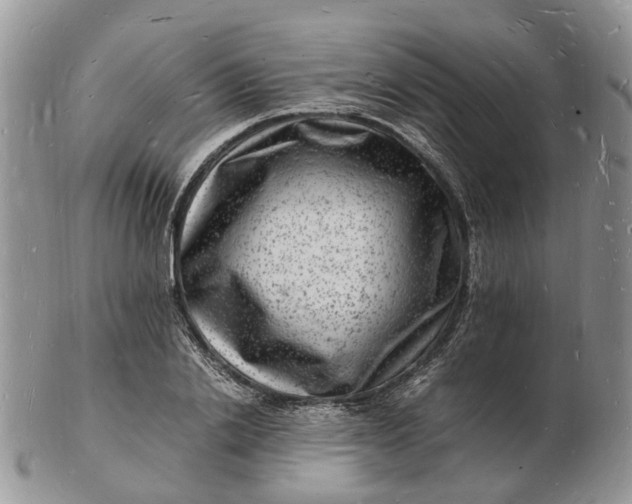 X0000102780838200809021050