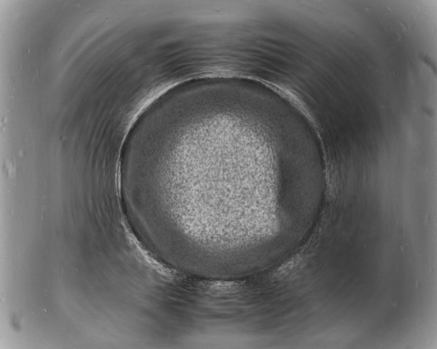 X0000102780839200809021050