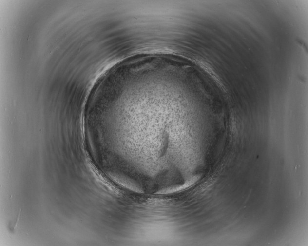 X0000102780840200809021050