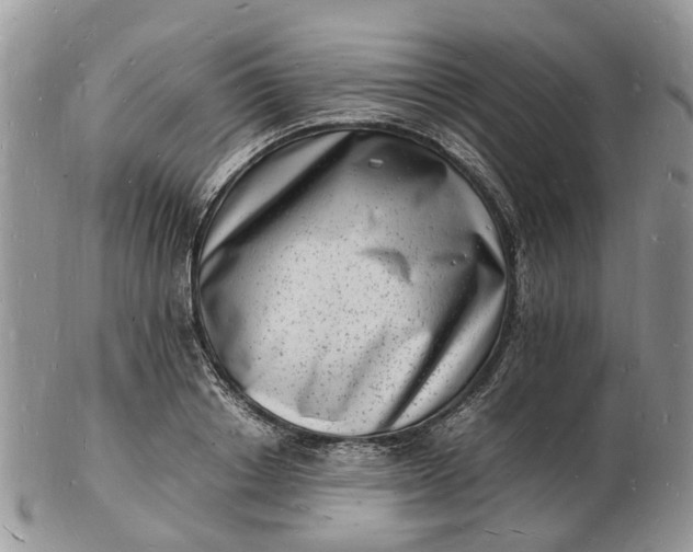 X0000102780842200809021050