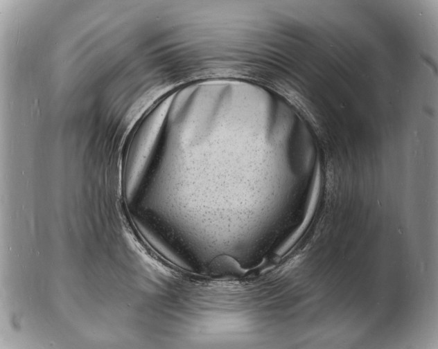 X0000102780844200809021050