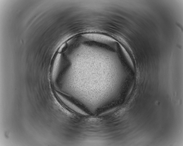 X0000102780847200809021050