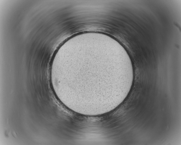 X0000102780848200809021050