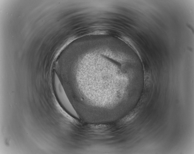 X0000102780851200809021050