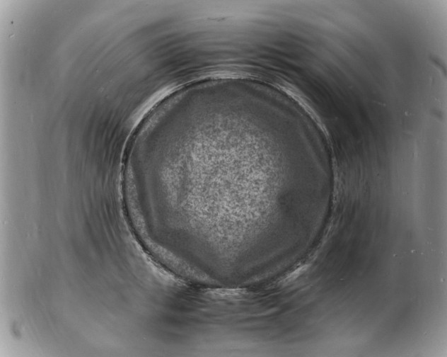 X0000102780853200809021050