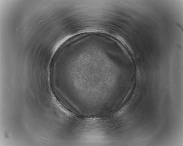 X0000102780854200809021050