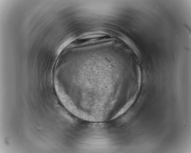 X0000102780858200809021050