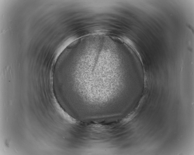 X0000102780859200809021050