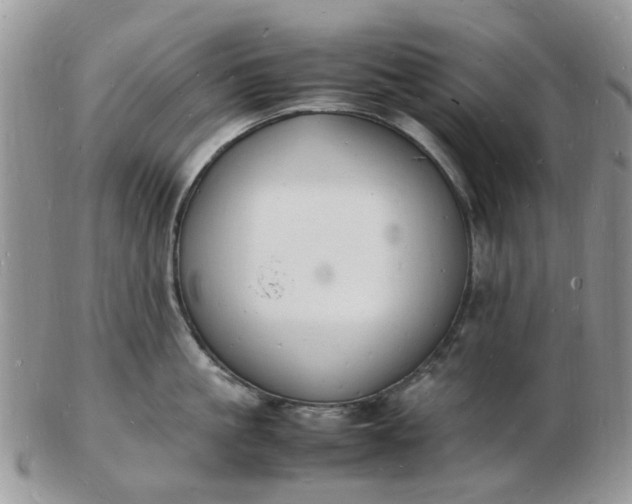 X0000102780861200809021051