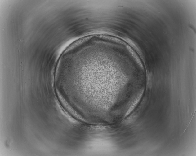 X0000102780862200809021051