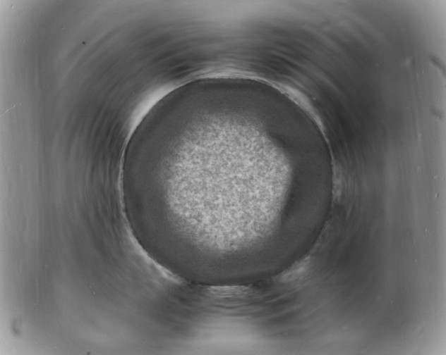 X0000102780863200809021051