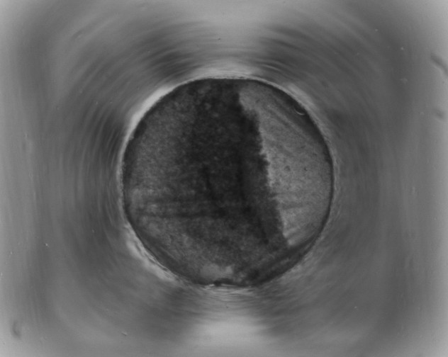 X0000102780864200809021051