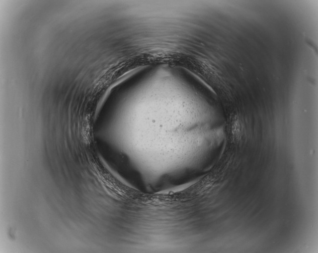 X0000102780868200809021050