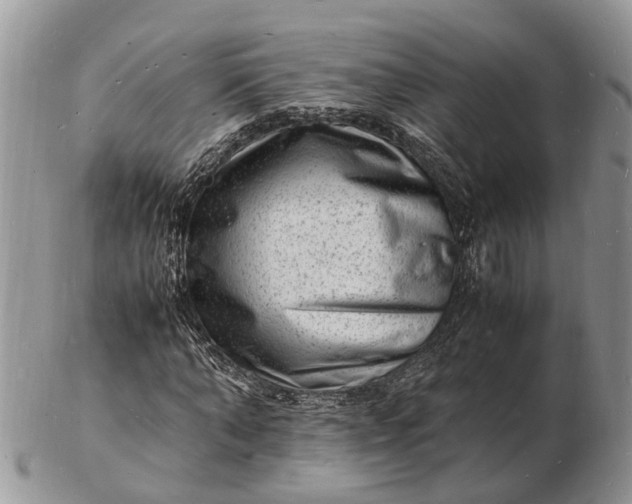 X0000102780870200809021050