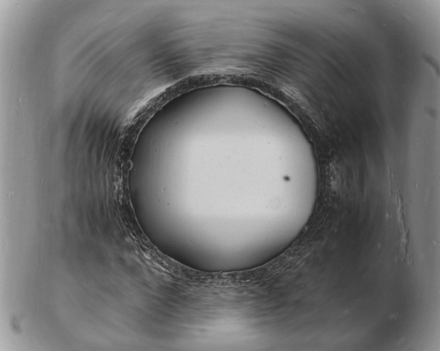 X0000102780872200809021050