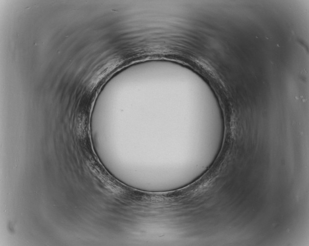 X0000102780873200809021050