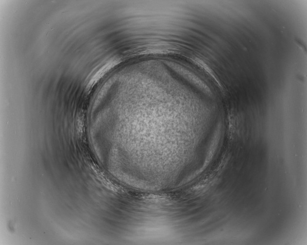 X0000102780874200809021050