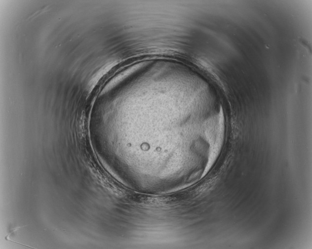 X0000102780875200809021050