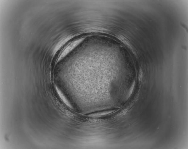 X0000102780877200809021050