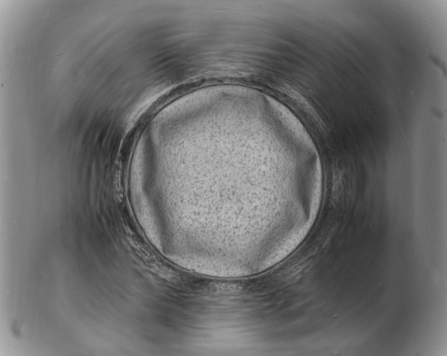 X0000102780878200809021050