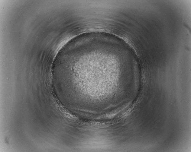 X0000102780879200809021050