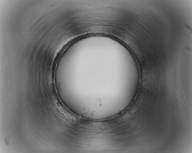 X0000102780880200809021050