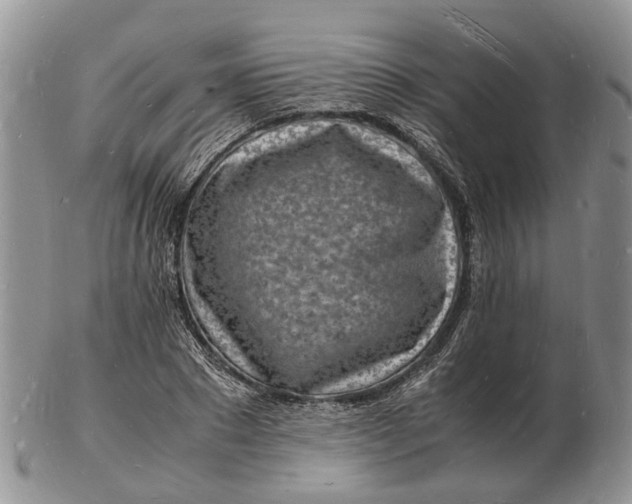 X0000102780881200809021050