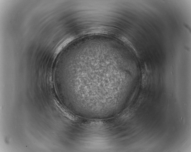 X0000102780882200809021050