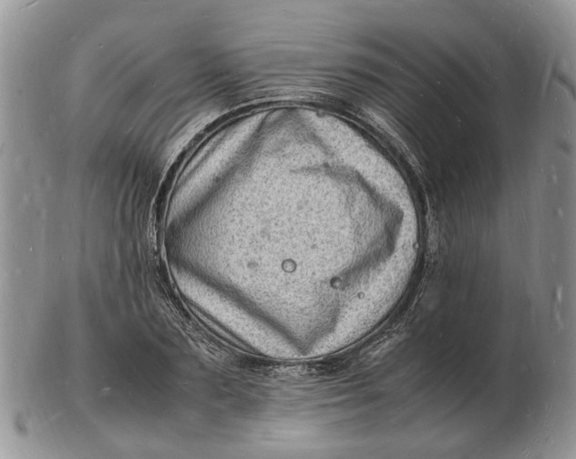 X0000102780883200809021050