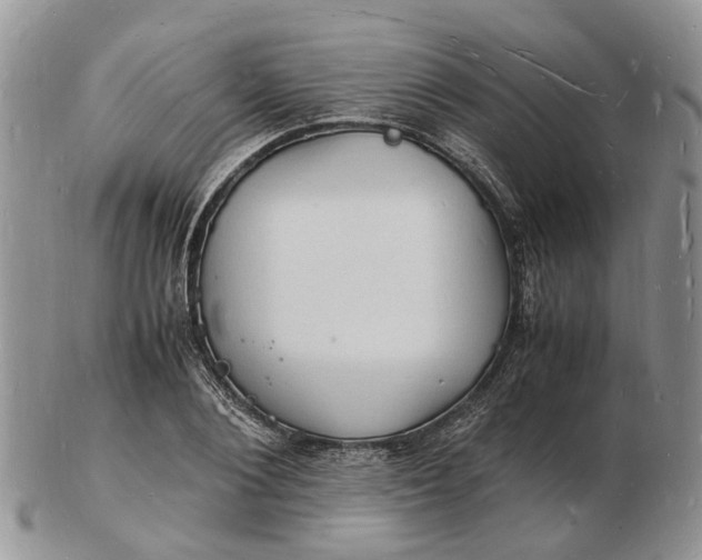 X0000102780884200809021050