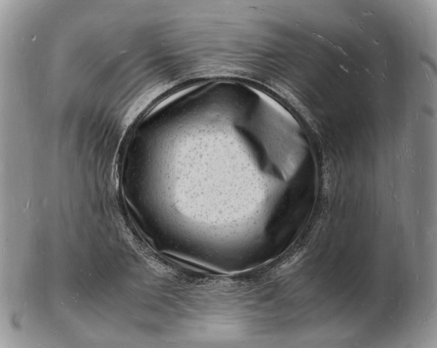 X0000102780885200809021050