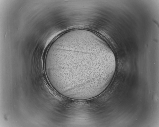 X0000102780886200809021050