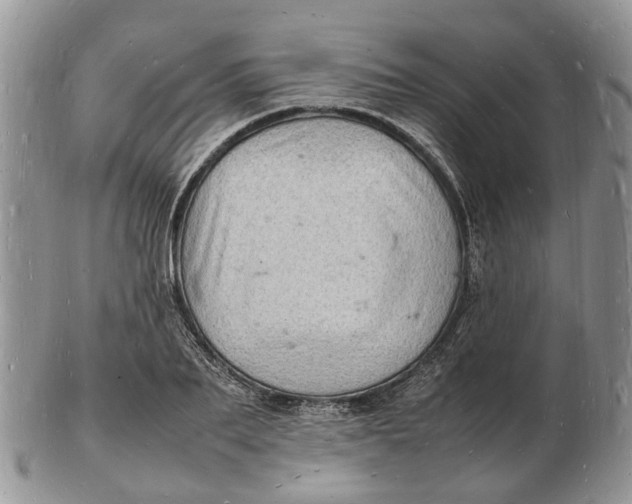 X0000102780887200809021050