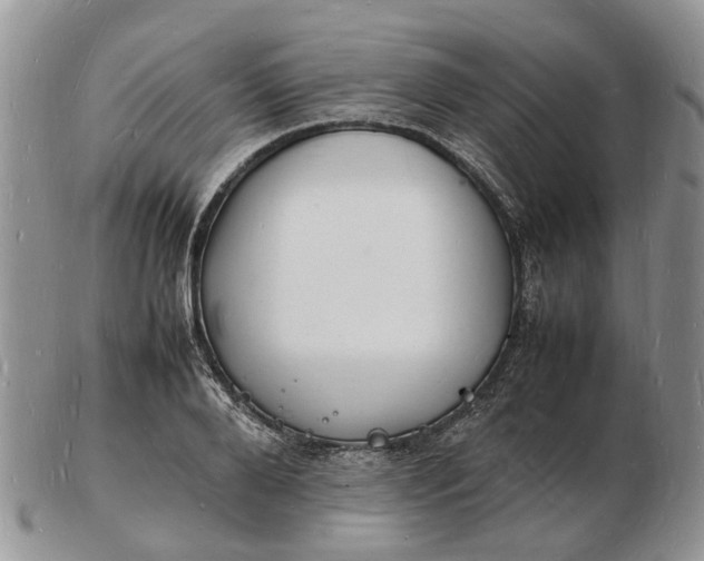 X0000102780888200809021050