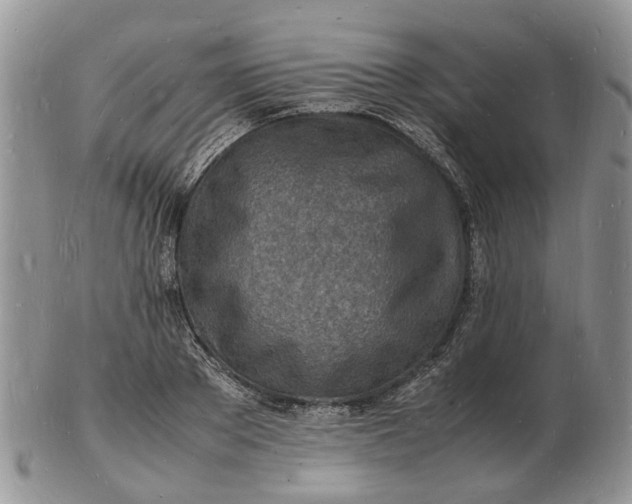 X0000102780889200809021050