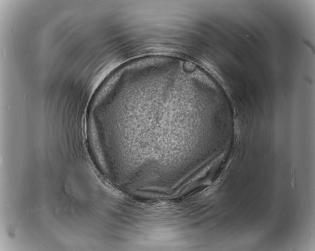 X0000102780891200809021050