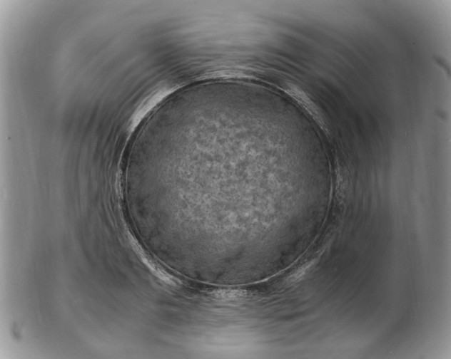 X0000102780893200809021050