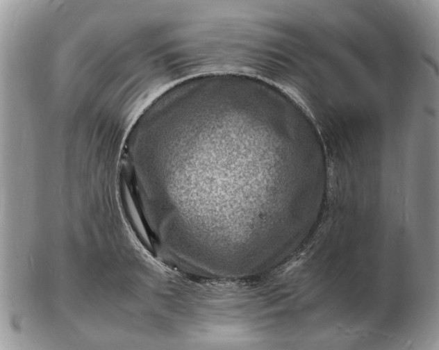 X0000102780895200809021049