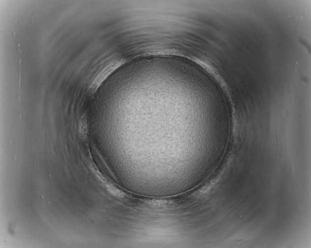 X0000102780897200809021049