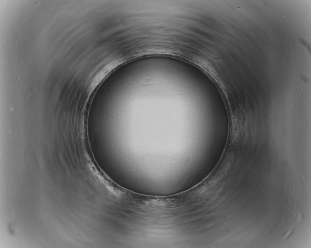 X0000102780898200809021049