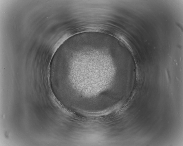 X0000102780899200809021049