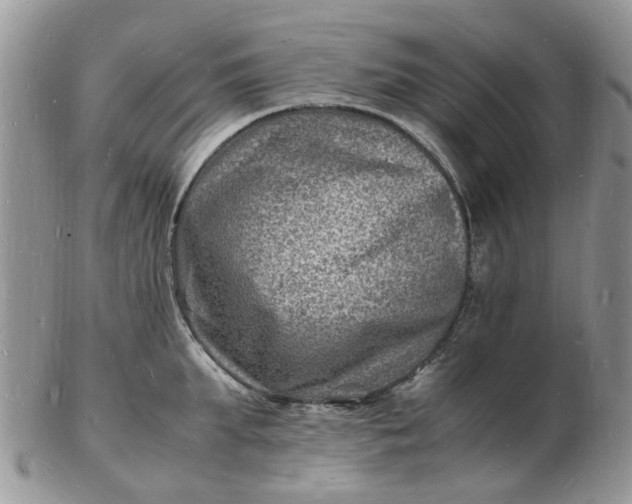 X0000102780903200809021049