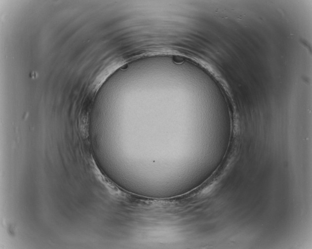 X0000102780905200809021049