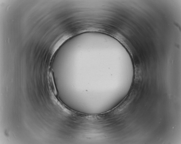 X0000102780906200809021049