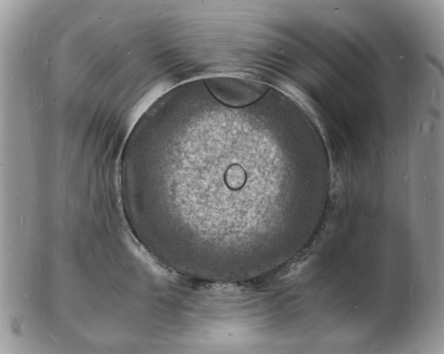 X0000102780907200809021049