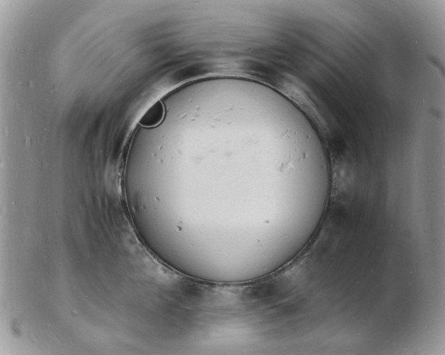 X0000102780908200809021049