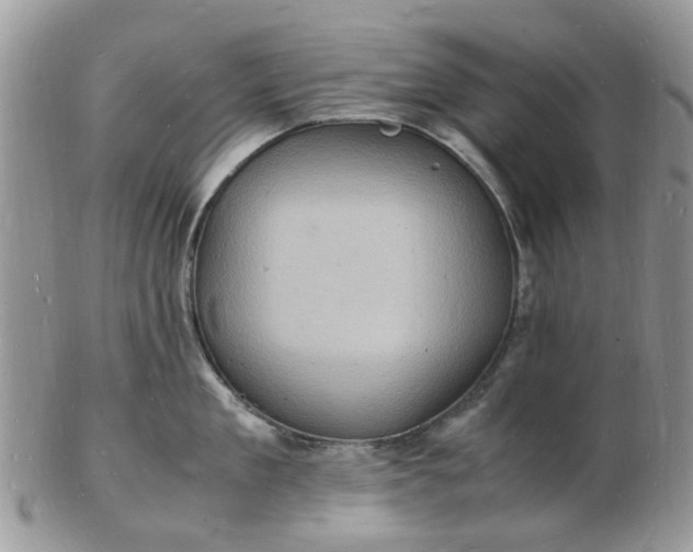 X0000102780909200809021049