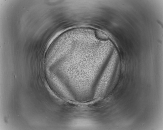 X0000102780911200809021049