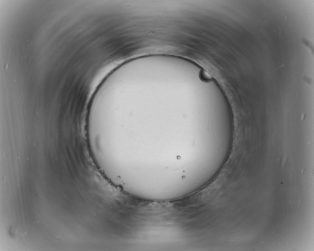 X0000102780912200809021049