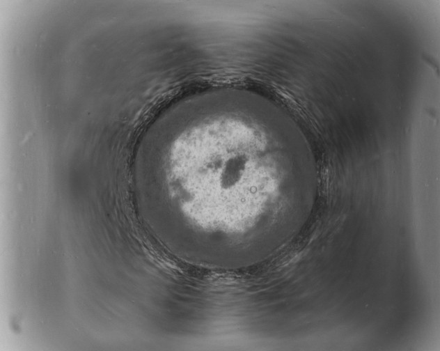 X0000102780913200809021048